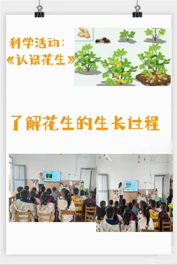 ebaec86aa2644621b91cb3c2a9dc40e6.jpg