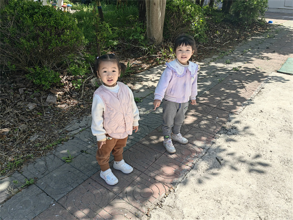04ab516acf0b442bb1fcdd8b1d374923.jpg